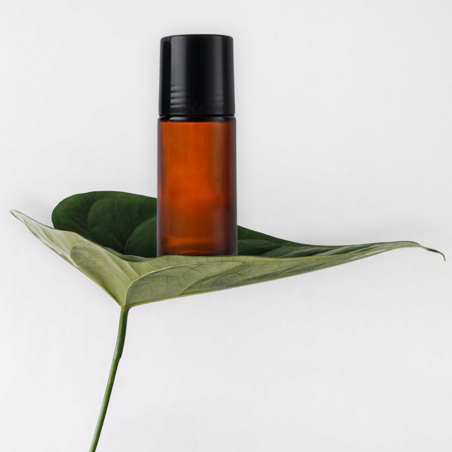 Matthew 17:20 (Unisex) Extrait Roller